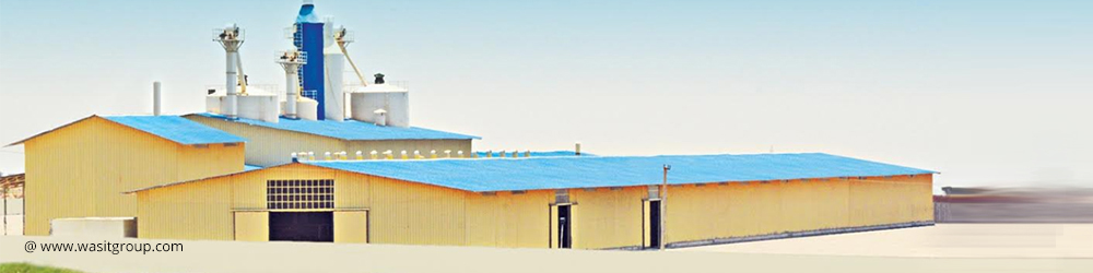 WASIT GENERAL TRADING LLC